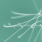 全面解析博体足球比分,助你轻松预测比赛结果 b4oigjijtp